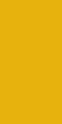 Bumblebee - BB205