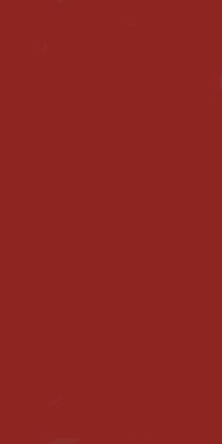 Auburn - AU3029