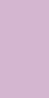Fairyfloss - FF3031