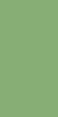 Matcha - MT3018