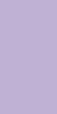 Wisteria - WI3036